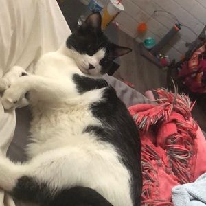 Meet your Posher, Eric